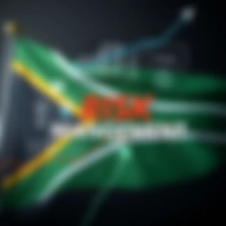 Abstract representation of risk management concepts with financial icons and South African flag